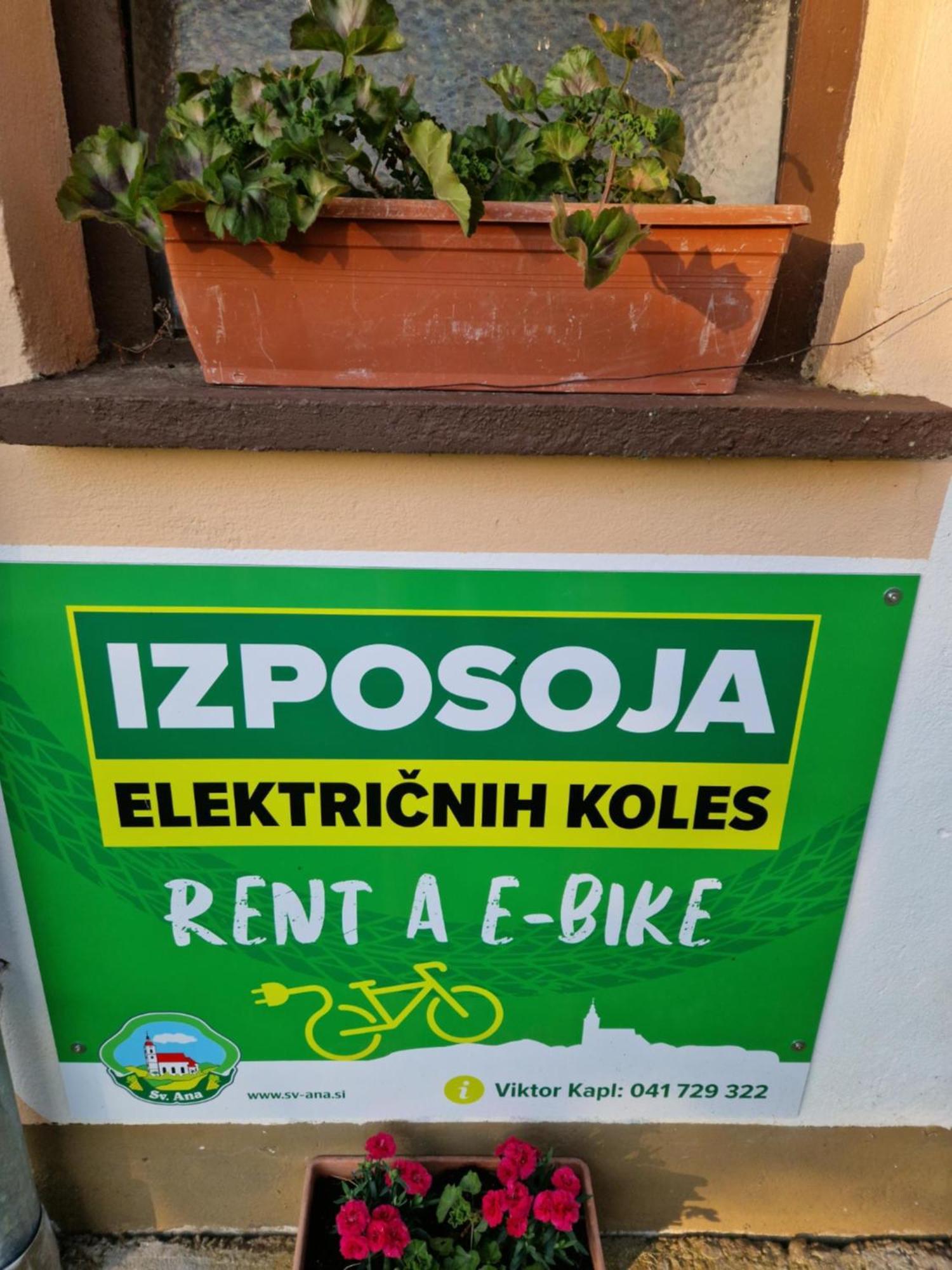 Homestay Kapl Ledinek Kültér fotó