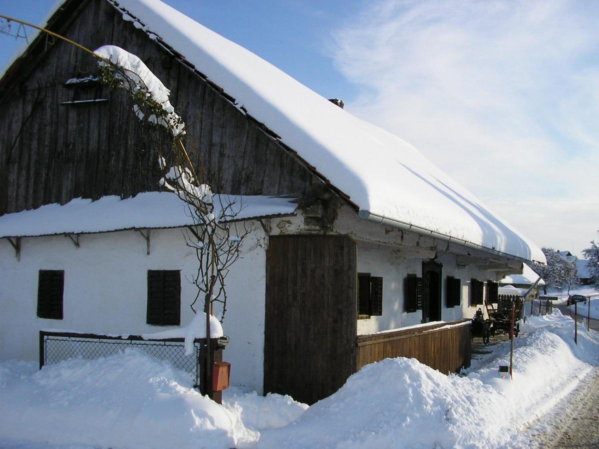 Homestay Kapl Ledinek Kültér fotó