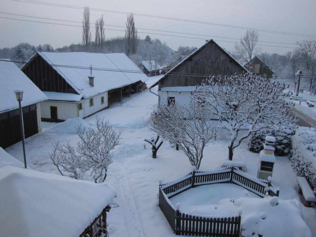 Homestay Kapl Ledinek Kültér fotó